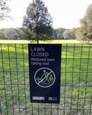 Every year, the Great Lawn is closed and restored between November and April. After last year’s Global Citizen Festival, however, restoration began early after significant damage was inflicted on the space. Now, UWS politician Gale Brewer wants the festival moved elsewhere.