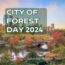 City of Forest Day, which started in 2022, will occur on October 26 this year. It’s a citywide celebration of trees, featuring more than 80 events.