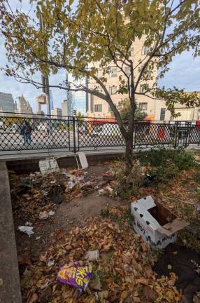 “Trash, go pick it up, take them lights away” sang the New York Dolls but in Sarah D. Roosevelt Park, who still listens? October 28, 2024.