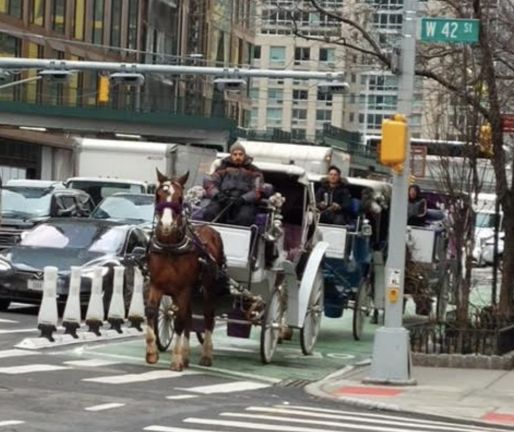 Cyclists and residents living along 10th Avenue have been sending photos of horse-drawn carriages on bike lanes to CM Bottcher’s office.