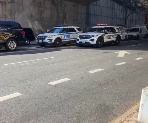 Police cars near the site of one of multiple knife attacks on First Ave. near 42nd St., reportedly committed by one suspect on Nov. 18.