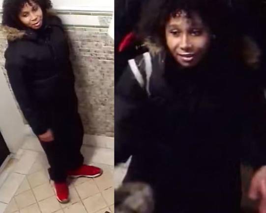 A teenage girl ( above) is being sought in connection with the assault of a 79 year-old woman in Chelsea on Jan. 6, cops say.