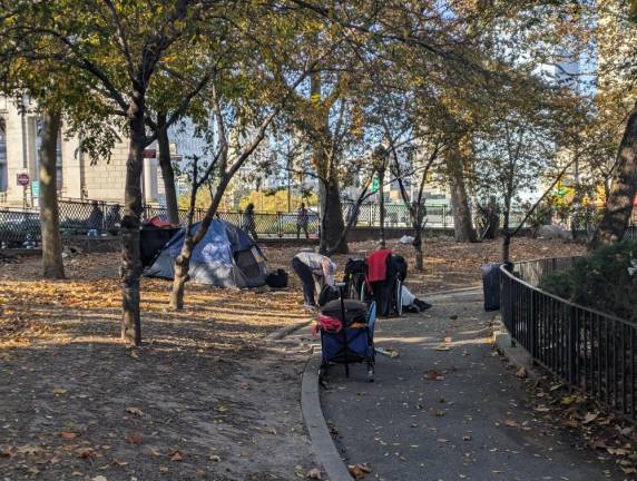 Clean-up in progress, south side of Sara D. Roosevelt Park, October 30, 2024.