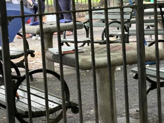 Blood can be seen on the chess table where a 74 year-old alleged heroin dealer was murdered in an ongoing drug turf war in troubled Tompkins Square Park on July 12.