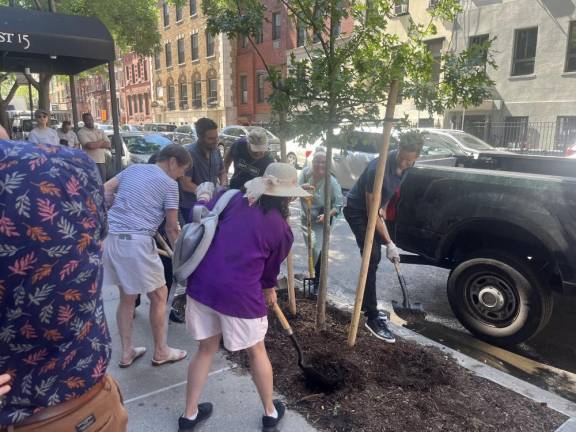 <b>Councilman Bottcher (Right) joins with area activists to put the final efforts into officially planting the 500th street tree in District 3 as he kicks off a new Tree Fund in partnership with the NY Horticulture Society.</b> He’s helping to jump start the tree fund with another $800,000 in city council funds. Photo: Wyatt Obering