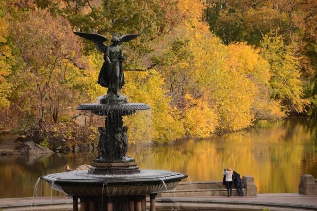 Central Park was one of several locations sprayed in an effort to minimize the spread of West Nile Virus in New York City.