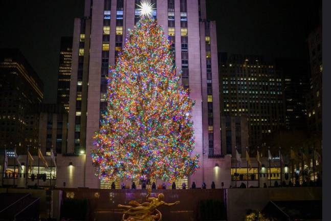 <b>The Rockefeller Center Christmas Tree, an 80 ft tall Norway spruce which contains about five miles of LED lights, was officially turned on at 10 p.m. on Nov. 29. The tree lights will be turned on every morning at 5 a.m. and stay lit up until midnight. The tree itself will stand until Jan. 14. </b>Photo: NYCmayorsoffice