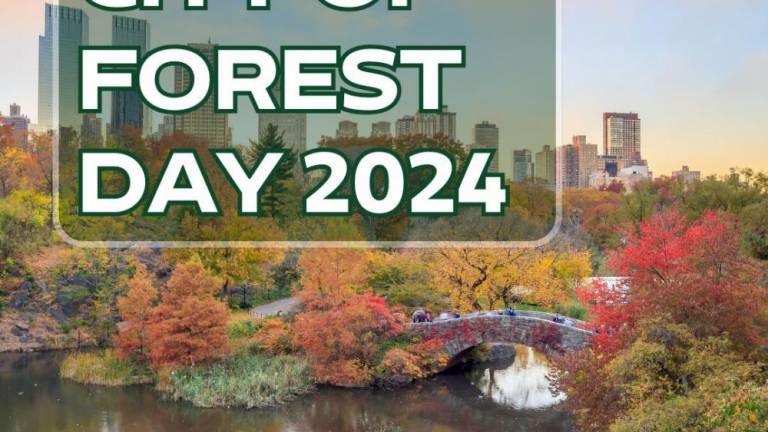 City of Forest Day, which started in 2022, will occur on October 26 this year. It’s a citywide celebration of trees, featuring more than 80 events.